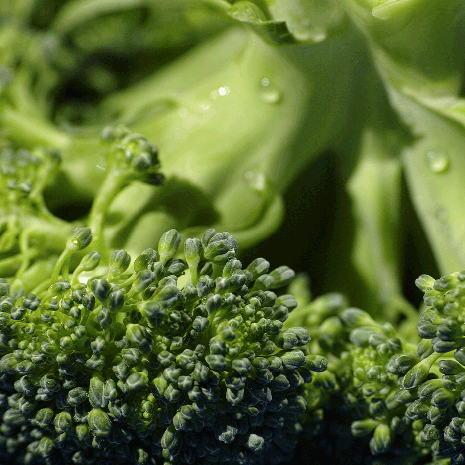 El brócoli alimento poderoso