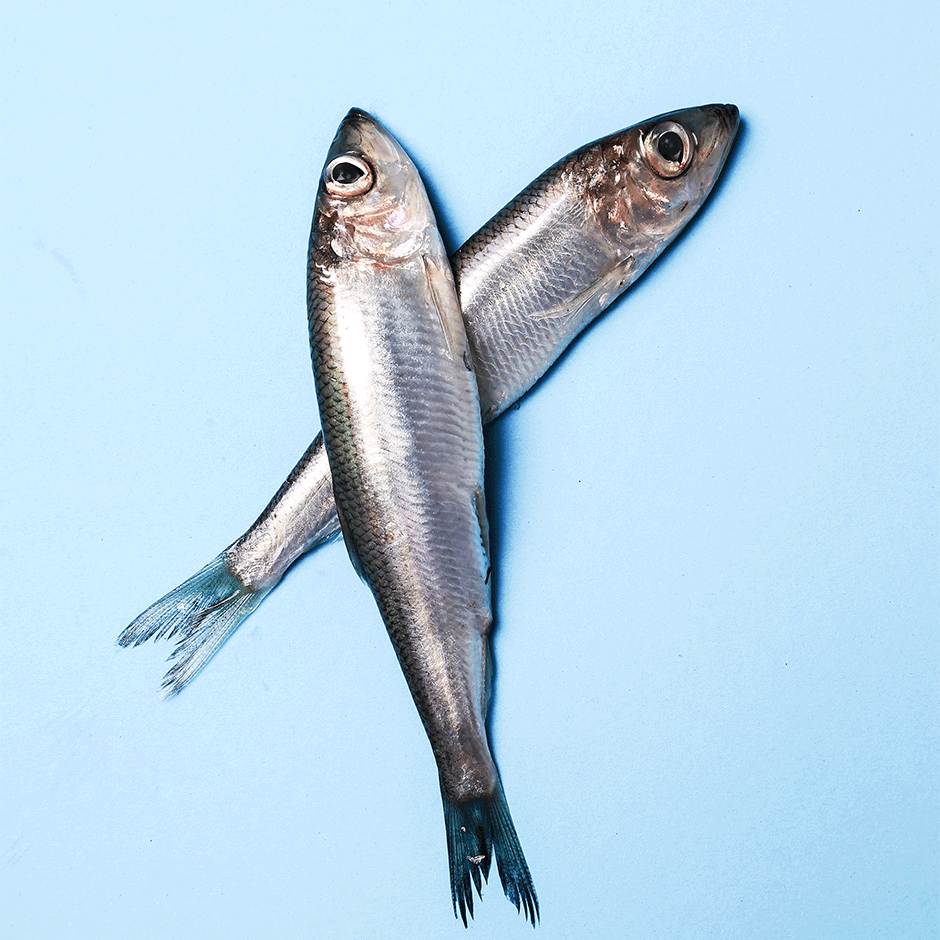 10 alimentos poderosos sardinas